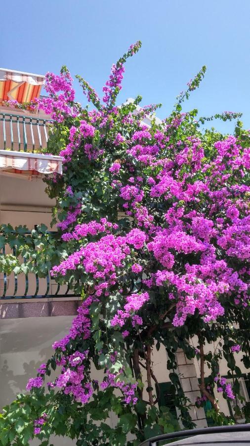 Mirjana Apartman Vodice Buitenkant foto
